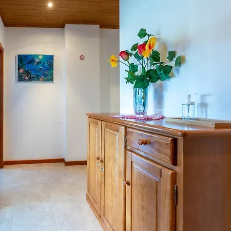 Daire Waves & Wonders *