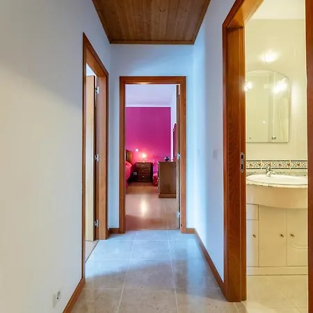 Daire Waves & Wonders