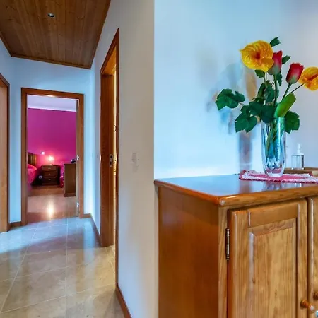 Waves & Wonders Daire *